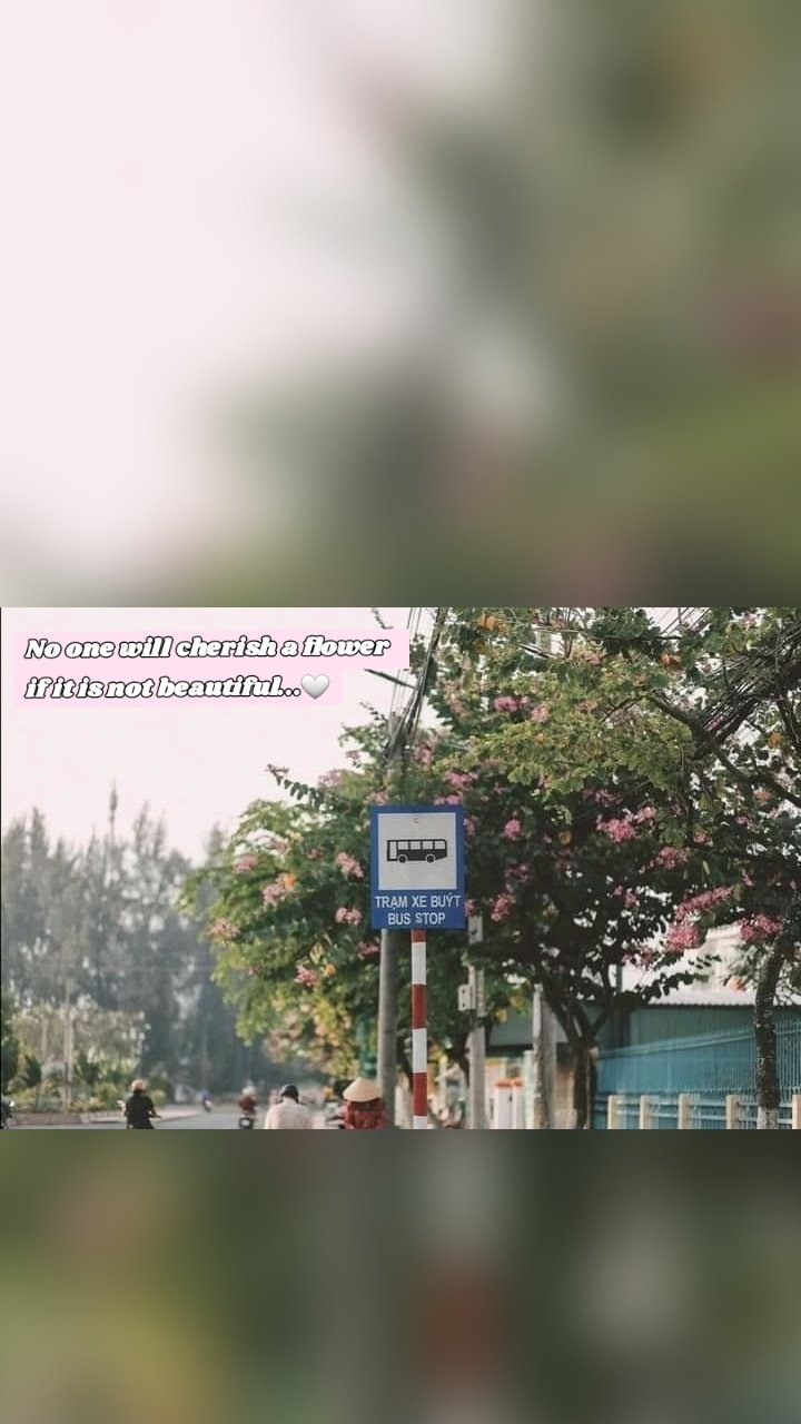 No one will cherish a flower 
if it is not beautiful...🤍